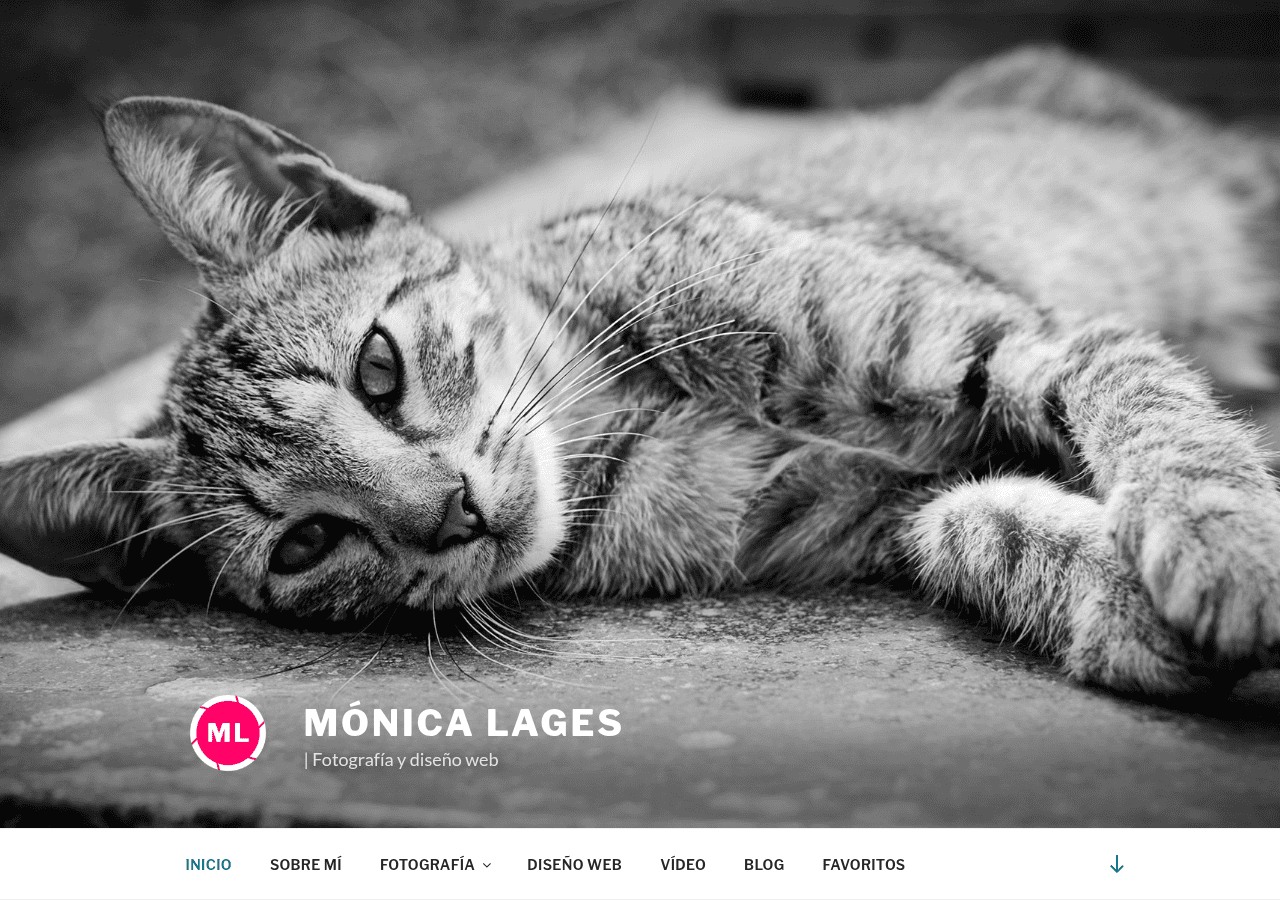 Screenshot of monicalages.com