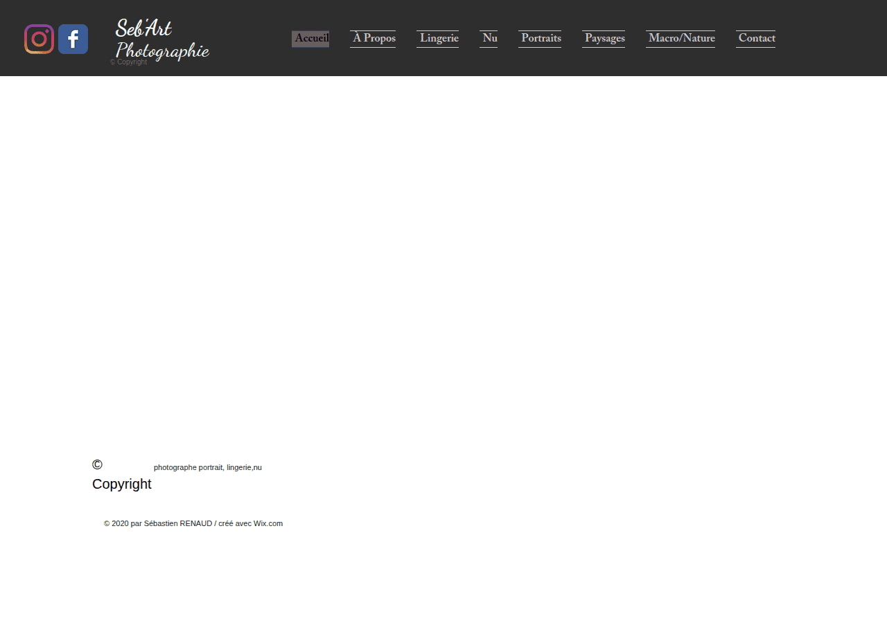 Screenshot of sebastienrenaudphotographie.net