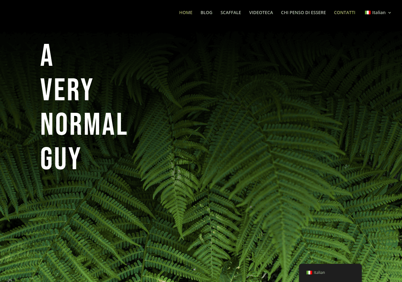 Screenshot of averynormalguy.com