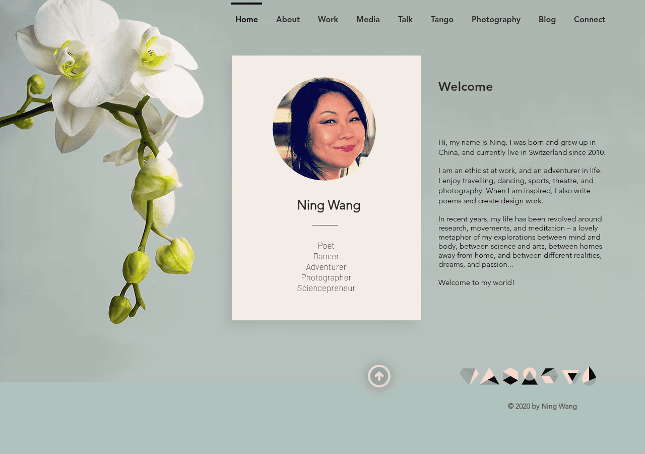 Screenshot of ningwang.online