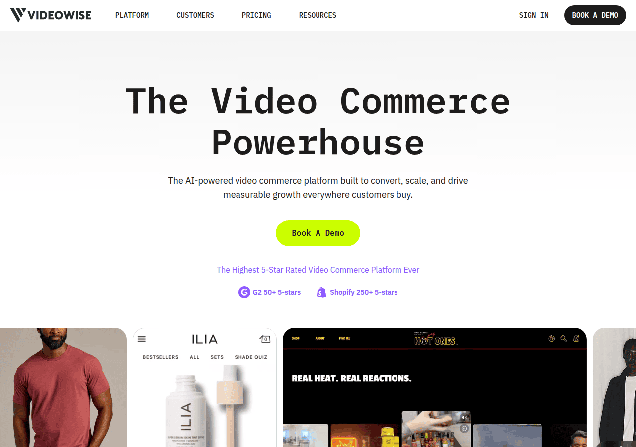 Screenshot of videowise.com