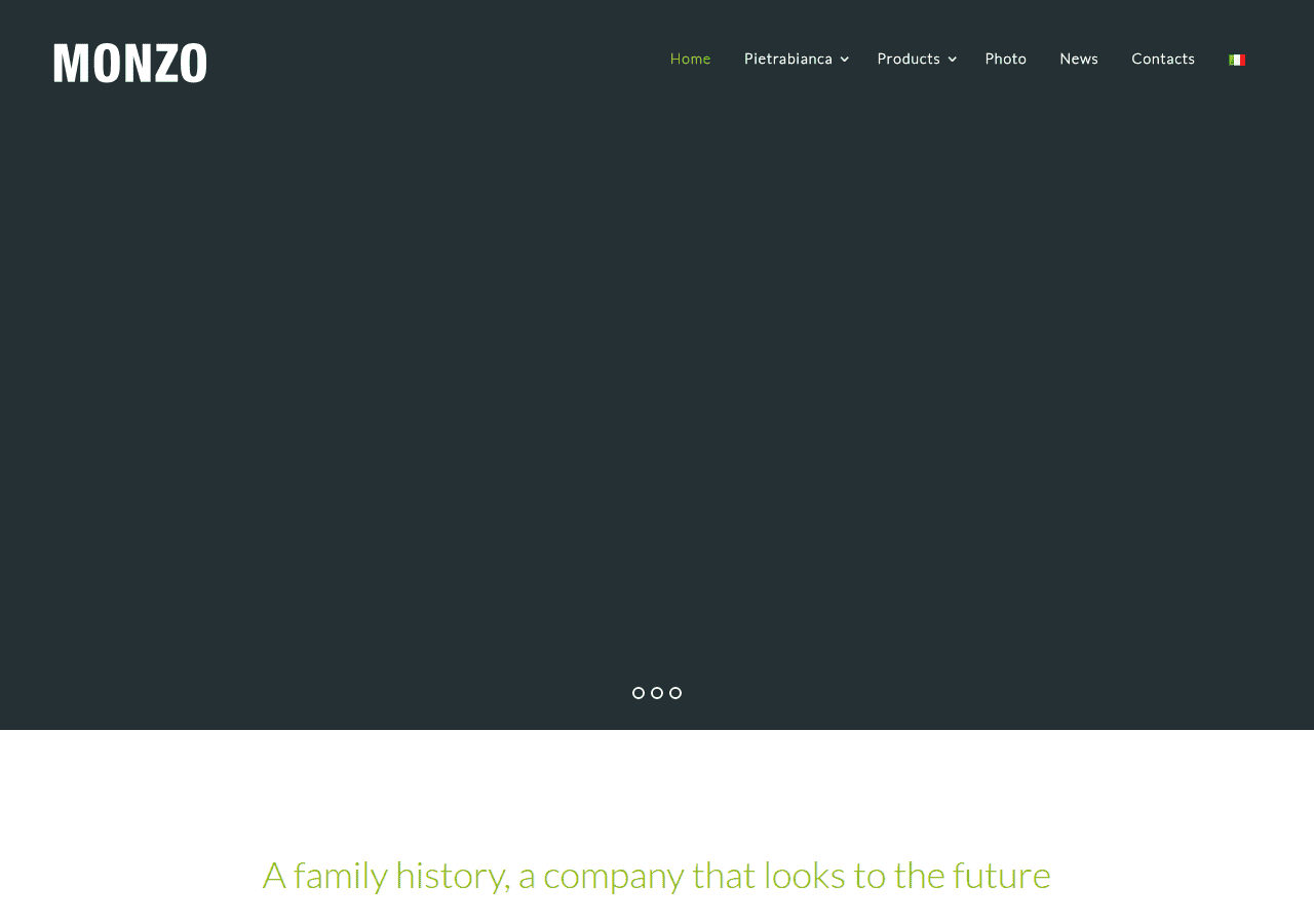 Screenshot of monzo.it