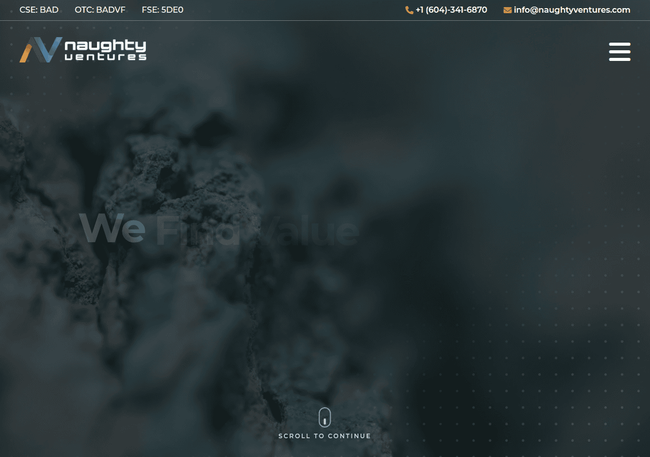 Screenshot of naughtyventures.com