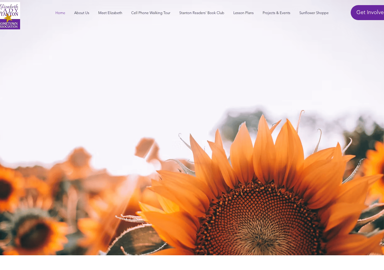 Screenshot of ecstantonhometown.org