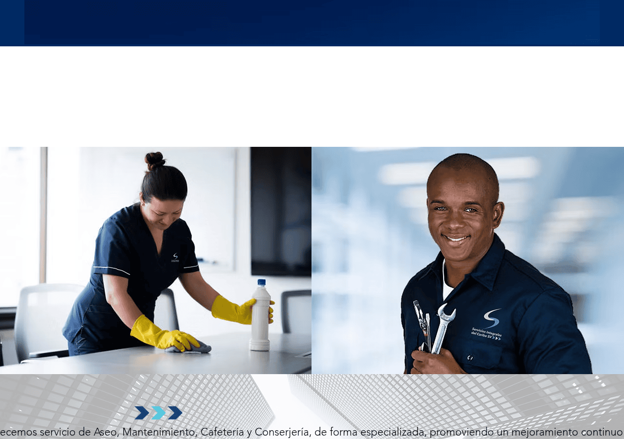 Screenshot of serviciosintegralesdelcaribe.co