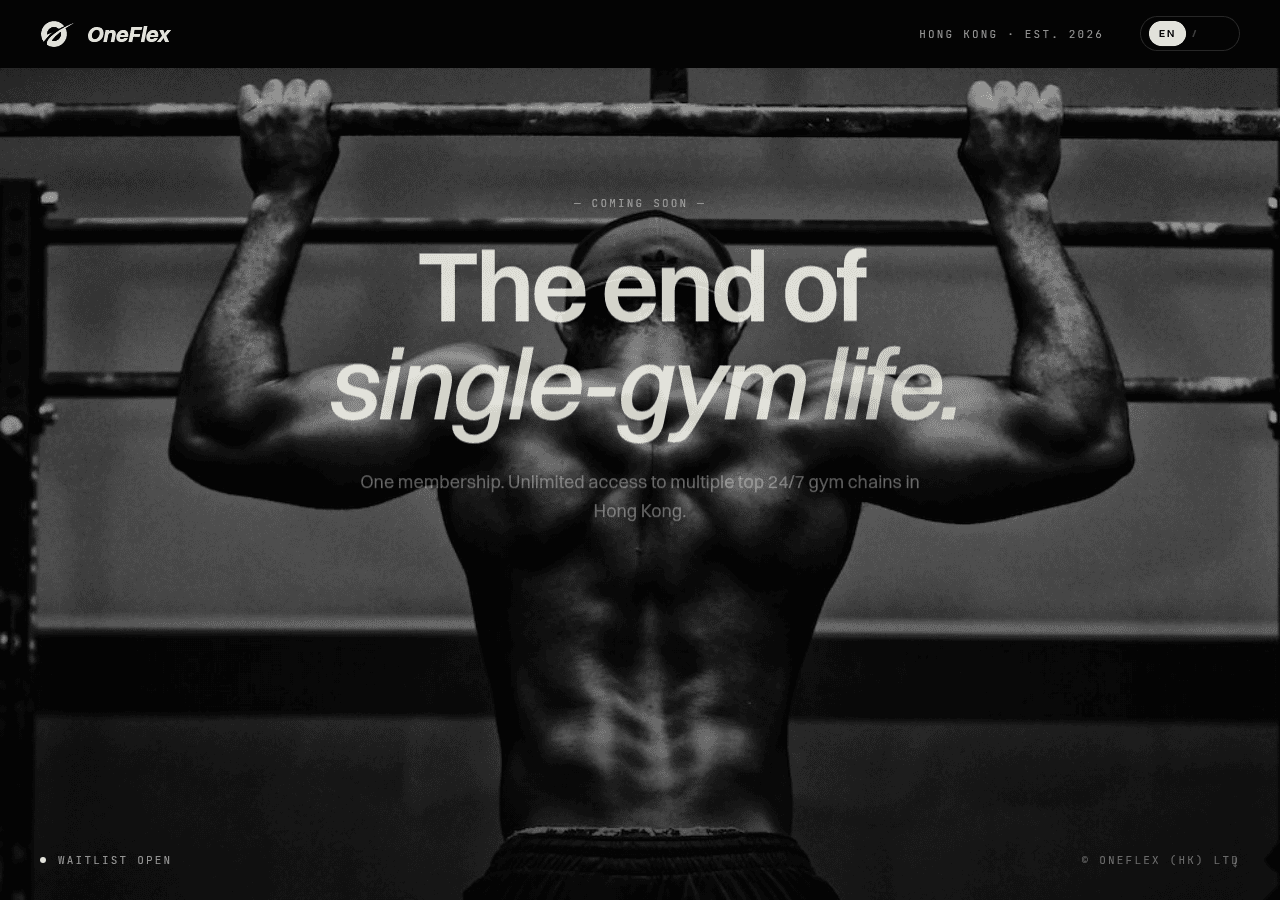 Screenshot of oneflexhk.com