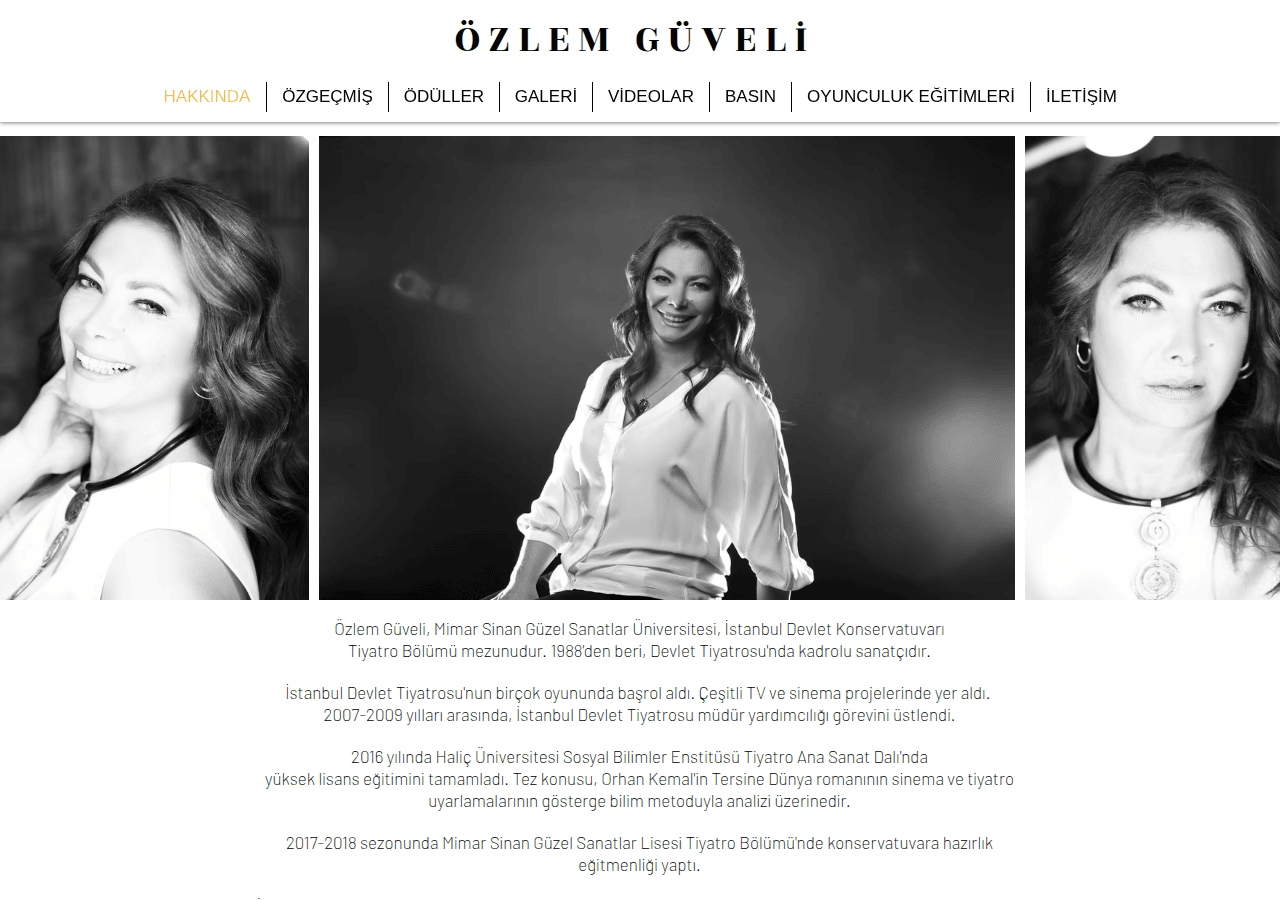 Screenshot of ozlemguveli.com