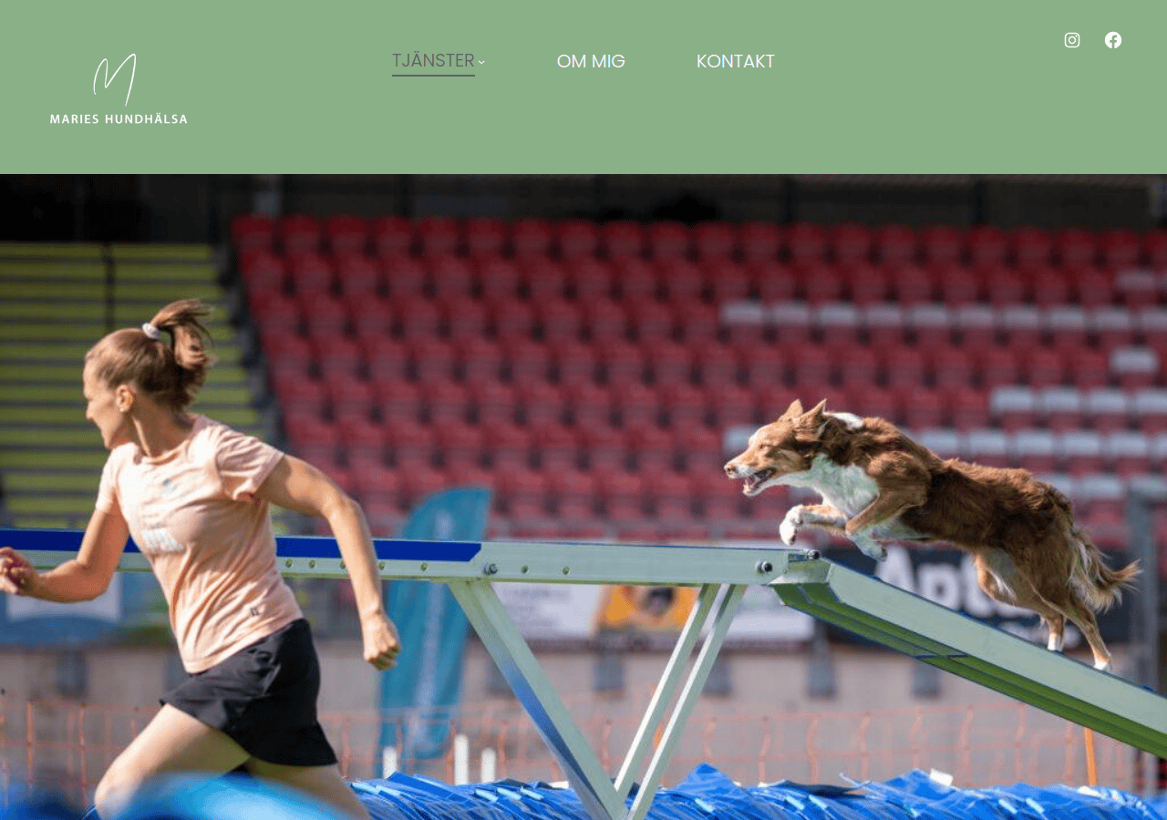 Screenshot of marieshundhalsa.se