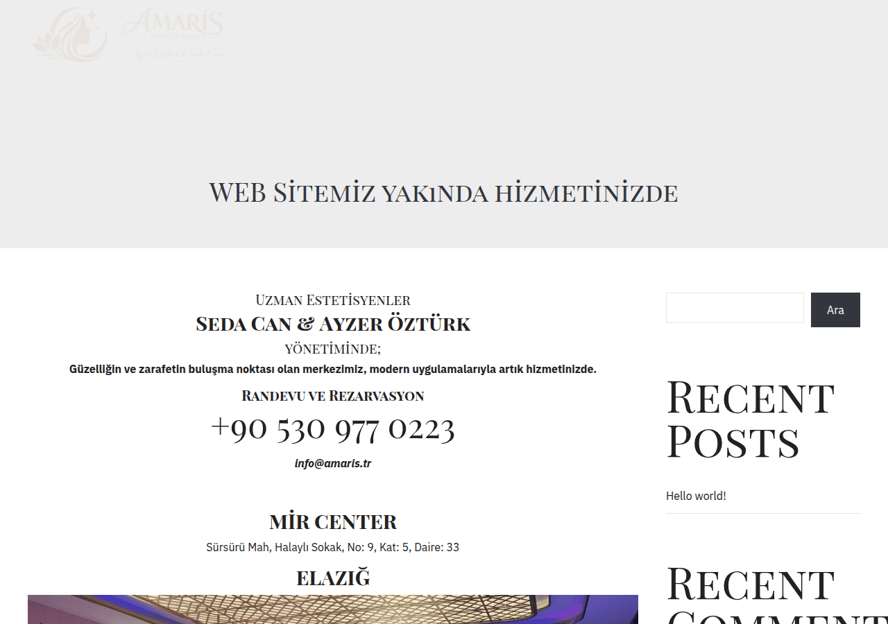 Screenshot of amaris.tr