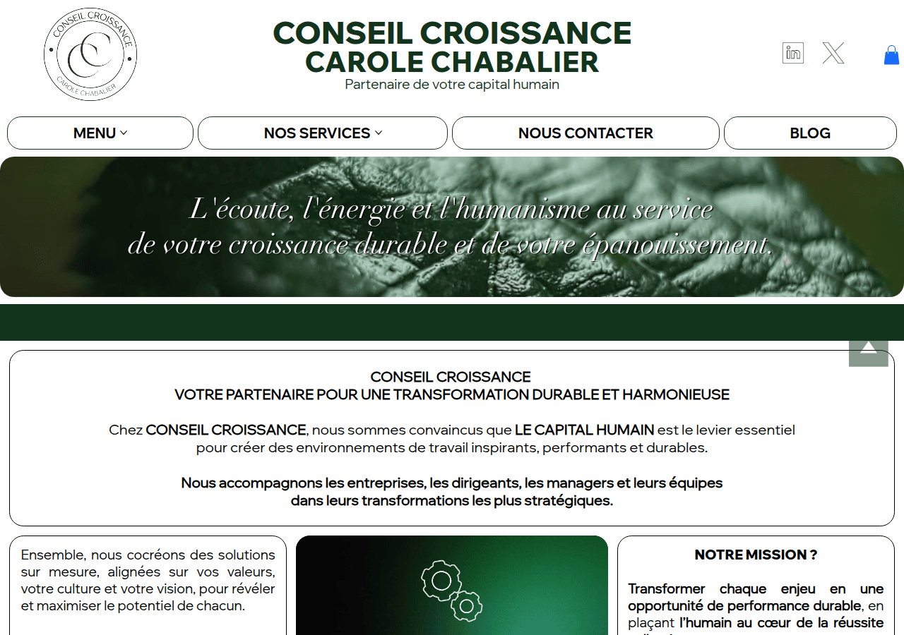 Screenshot of conseilcroissance.com