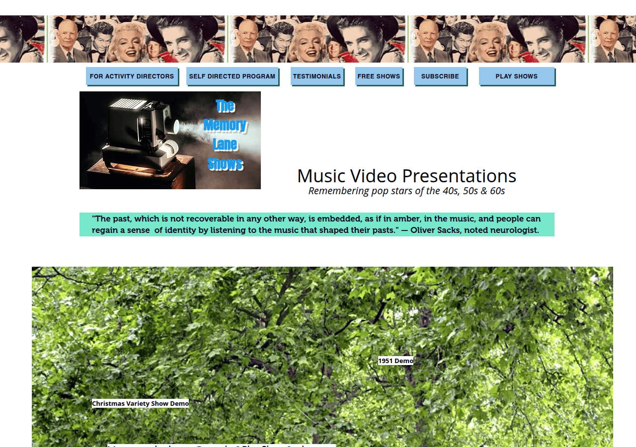 Screenshot of thememorylaneshows.com