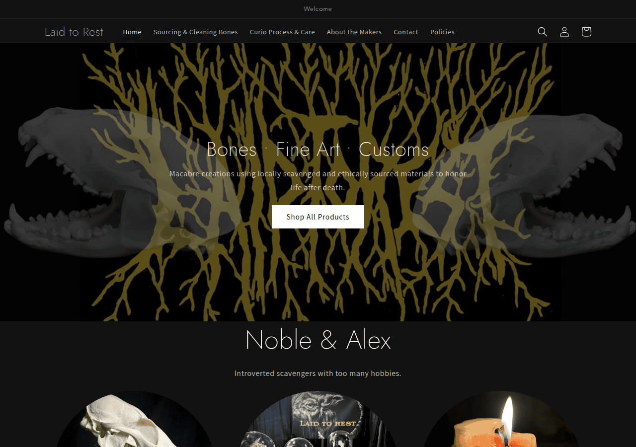 Screenshot of laidtorest.shop