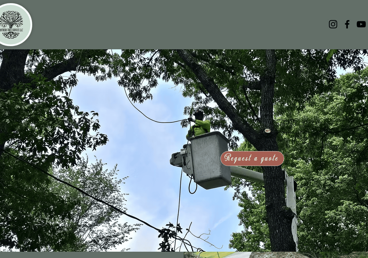 Screenshot of brotherstreeservicellc205.com