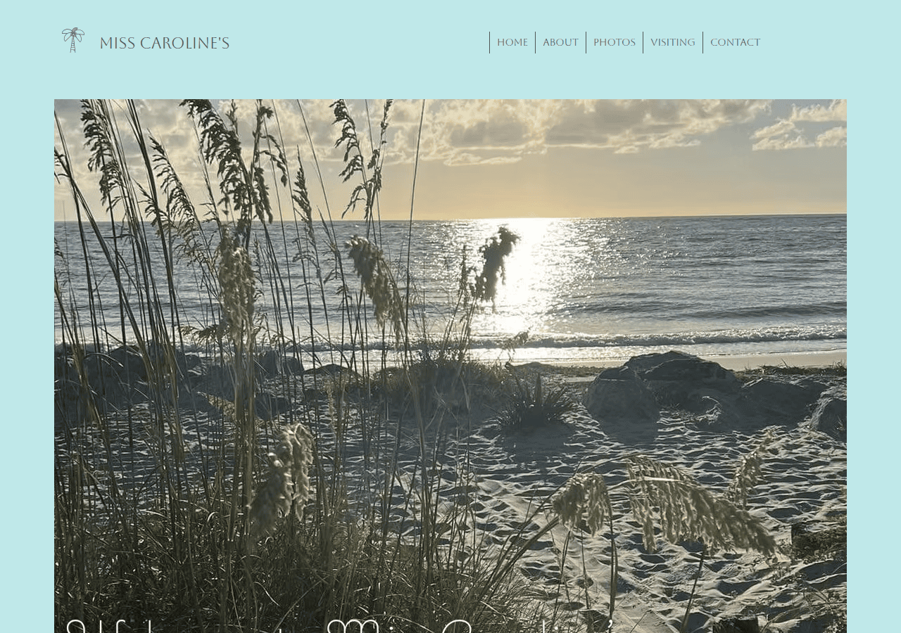 Screenshot of misscarolines.net