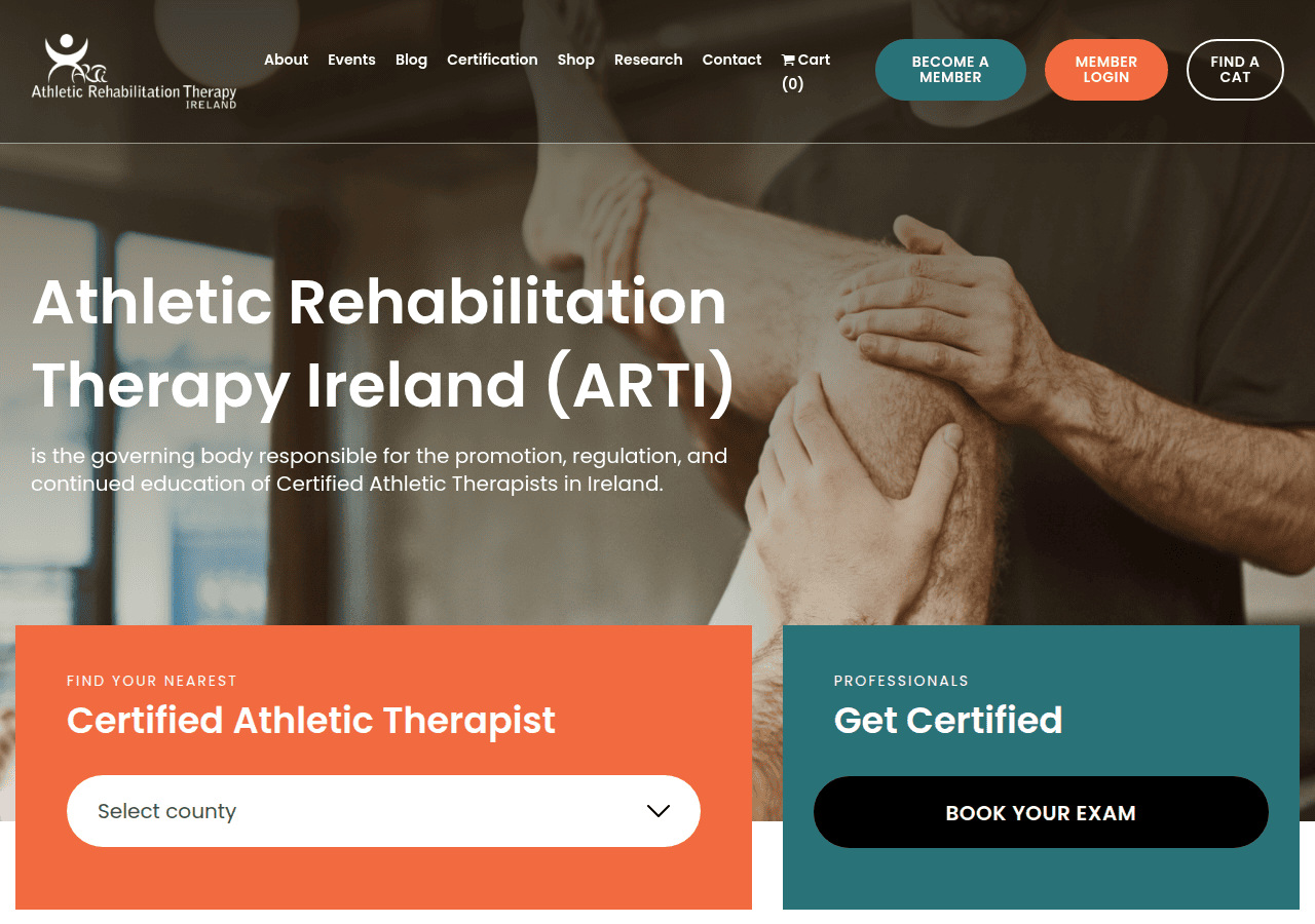 Screenshot of arti.ie