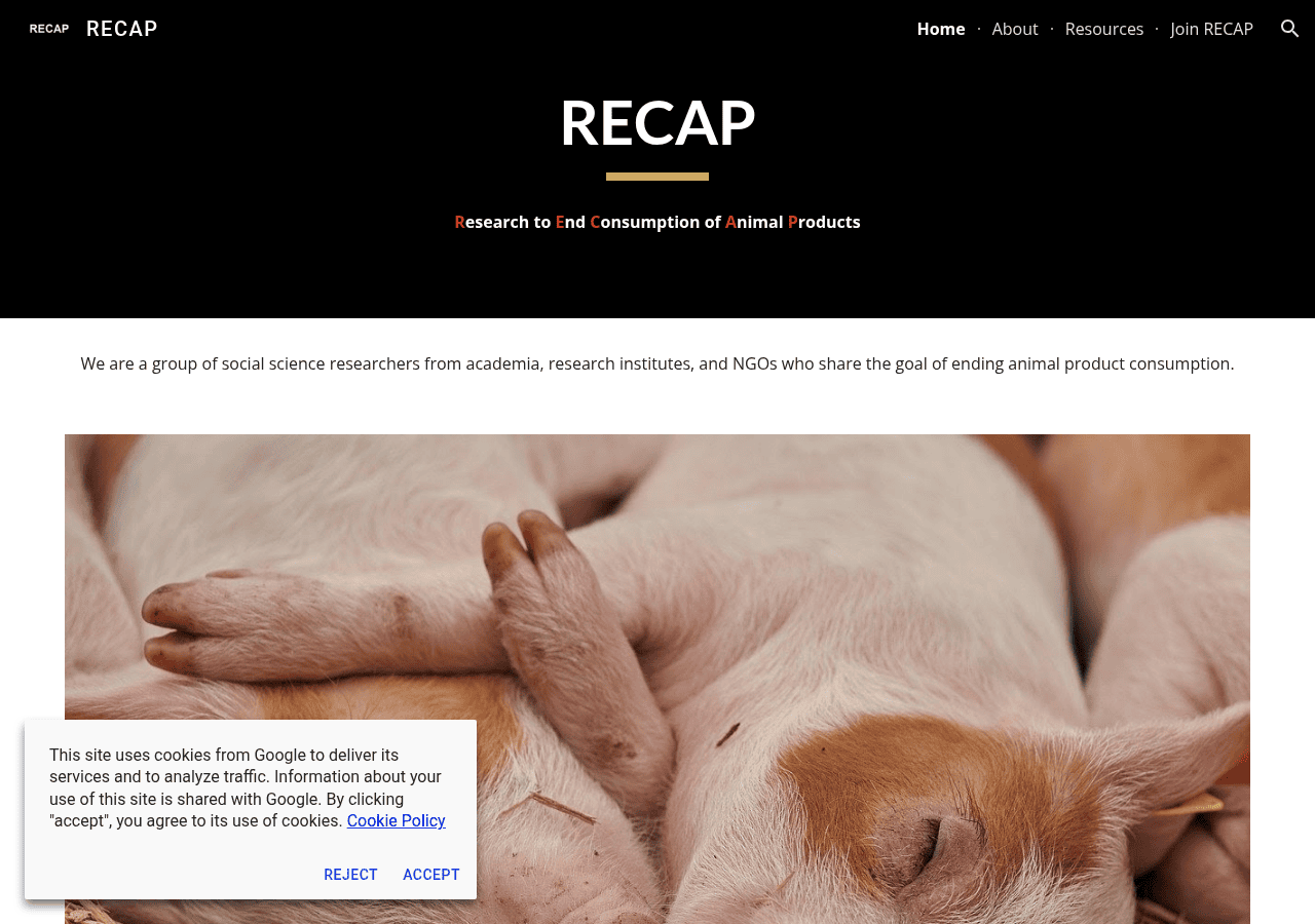 Screenshot of recapresearch.org
