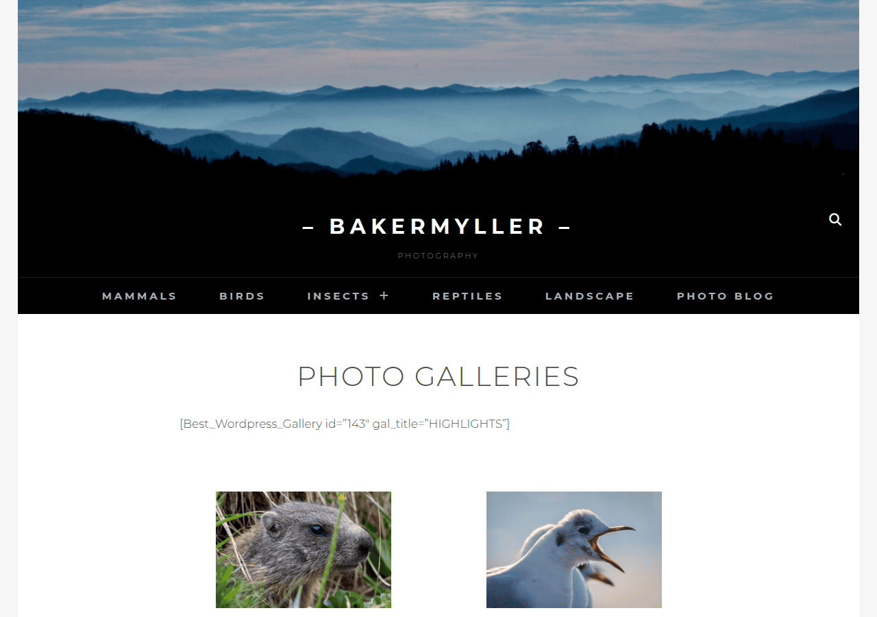 Screenshot of bakermyller.ch
