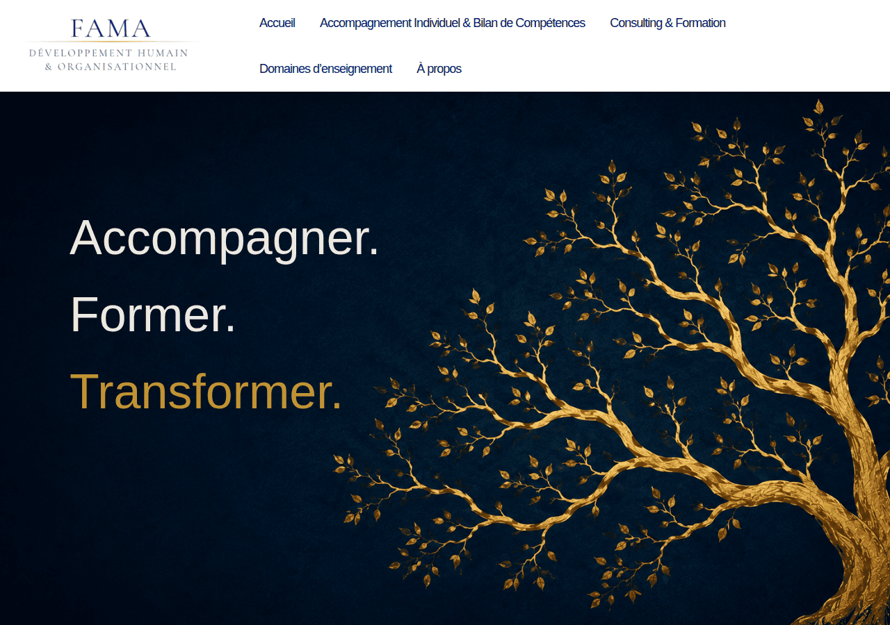 Screenshot of fama-developpement.com