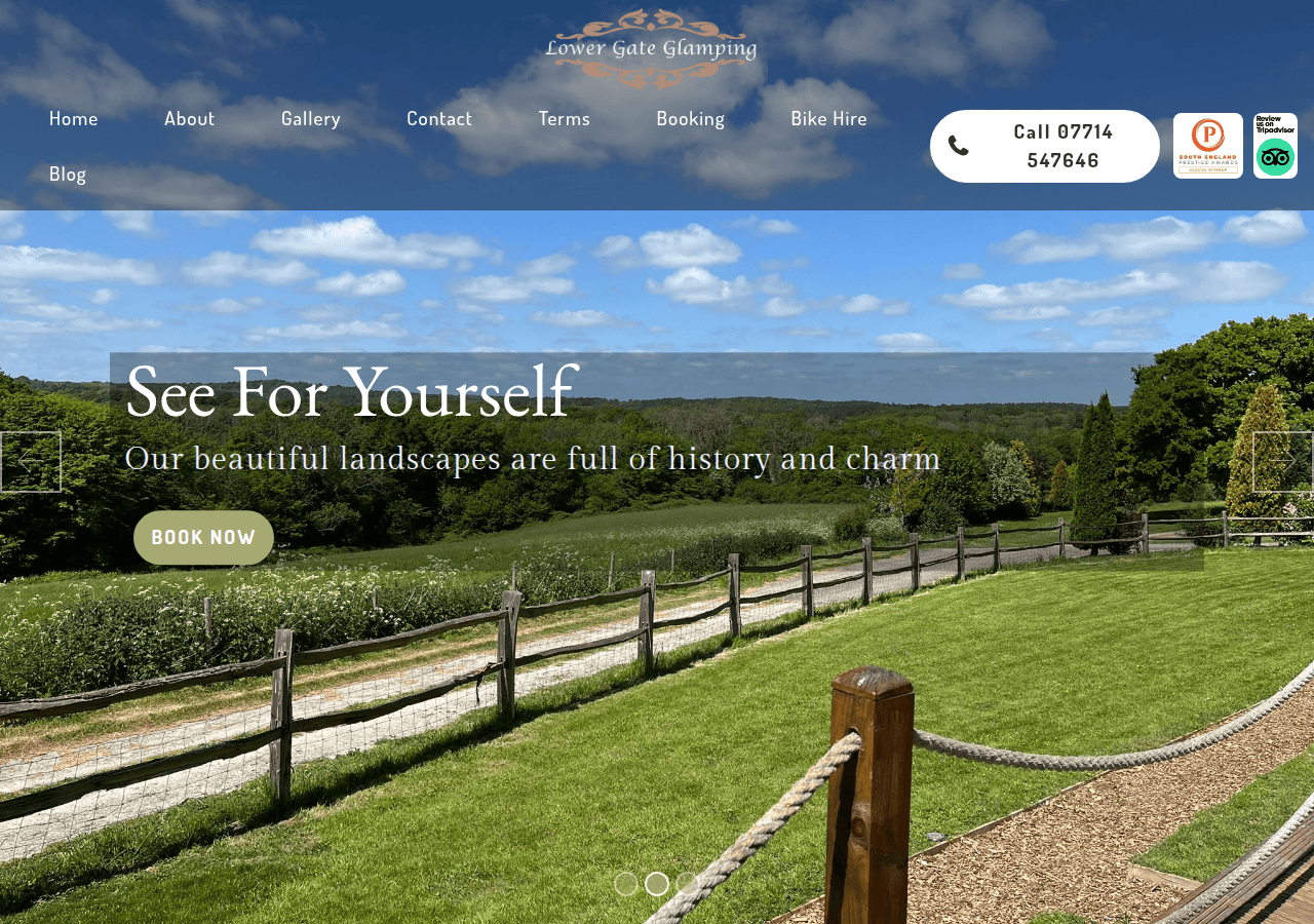 Screenshot of lowergateglamping.co.uk