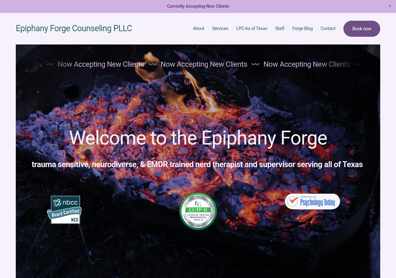 Screenshot of theepiphanyforge.com