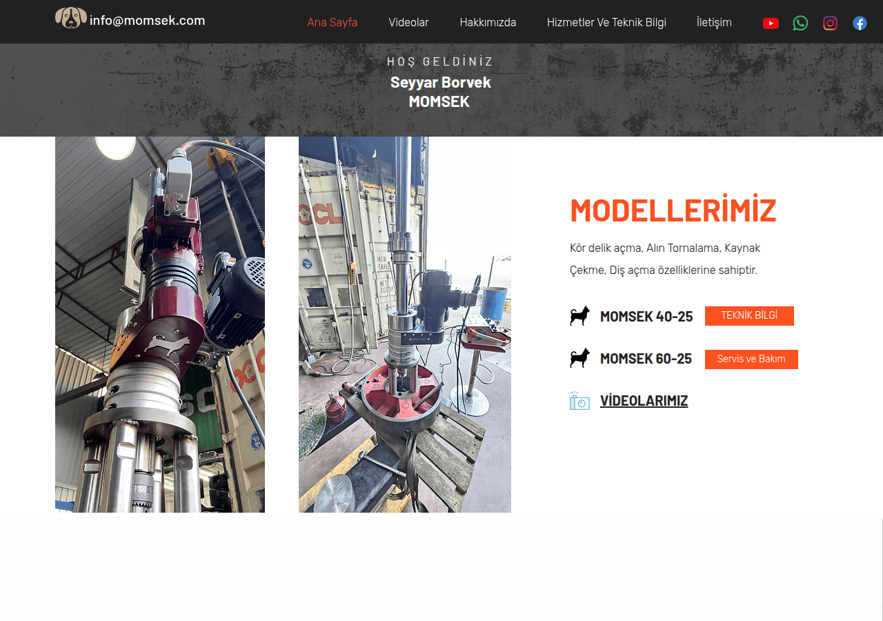 Screenshot of momsek.com