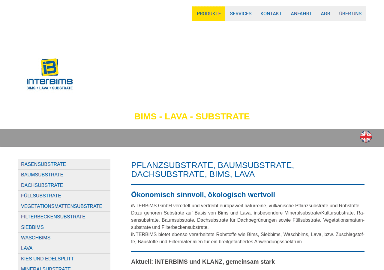 Screenshot of interbims.de