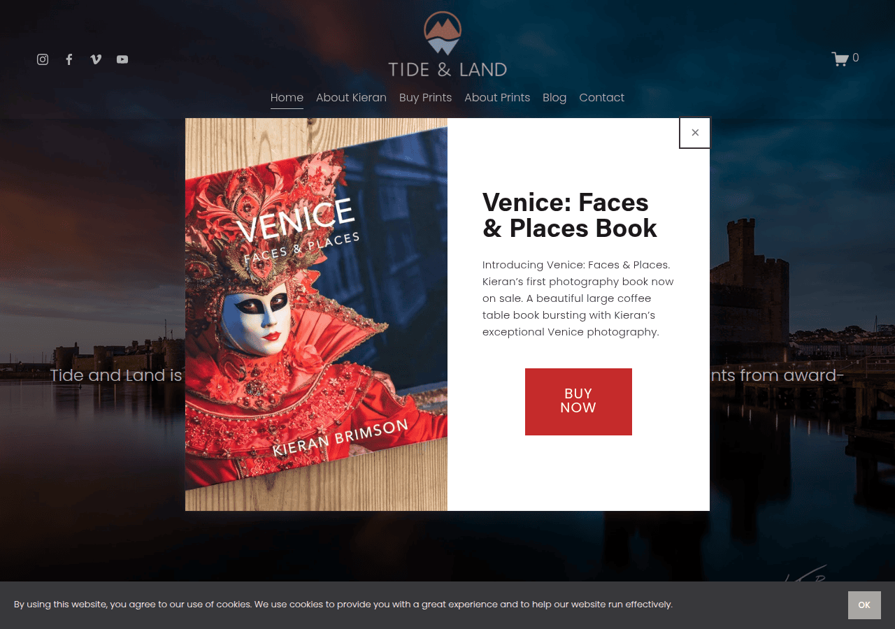 Screenshot of tideandland.com