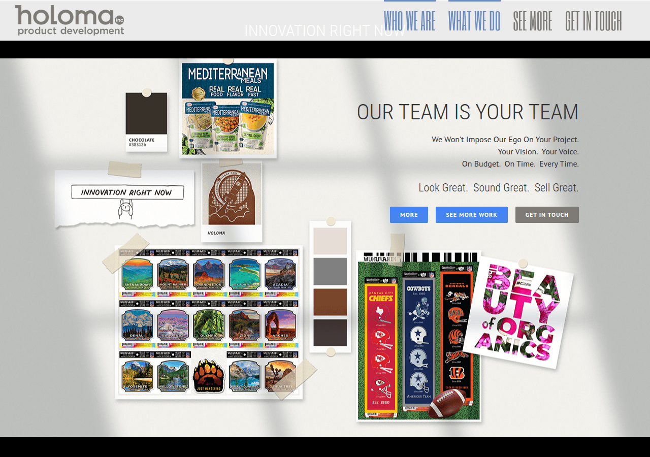 Screenshot of holoma.com