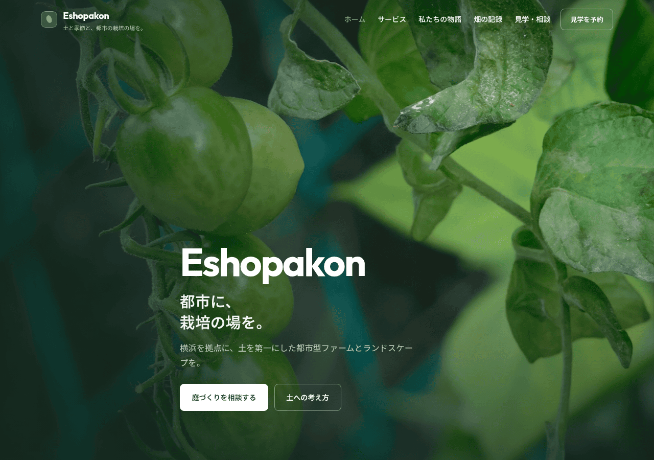 Screenshot of eshopakon.site
