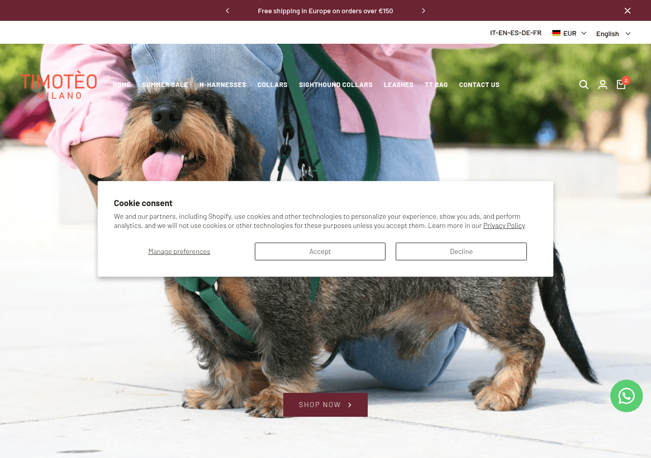 Screenshot of timoteomilano.com