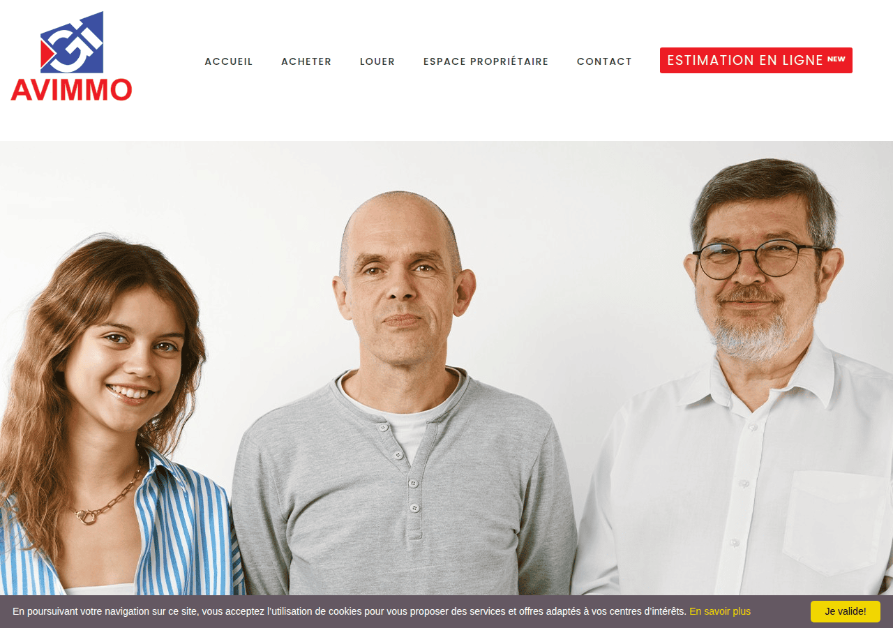 Screenshot of avimmo.be