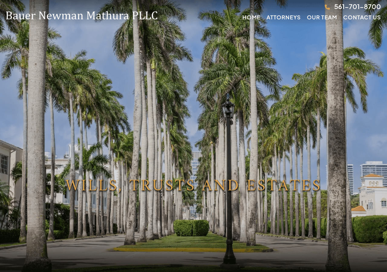 Screenshot of bauernewman.com
