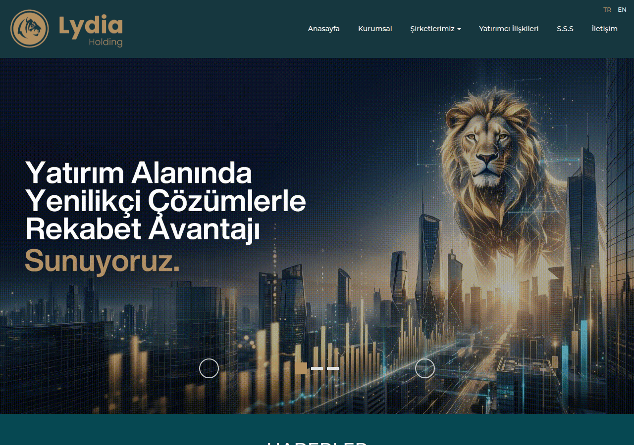 Screenshot of lydiaholding.com
